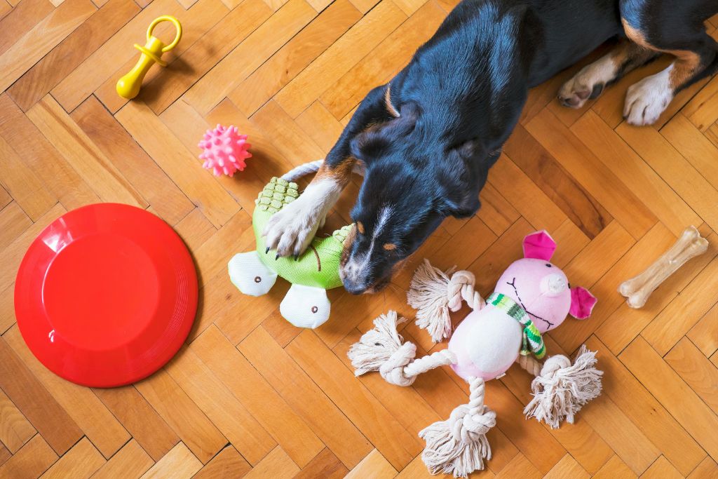 10 Best Dog Enrichment Toys by Chew Strength