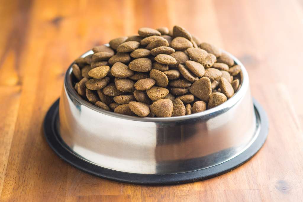 Kibble Safety: Signs, Storage and Tips