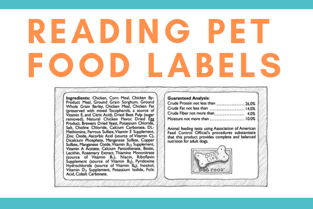 Do You Know How to Read Your Pet Food Labels? - Good Dog People™