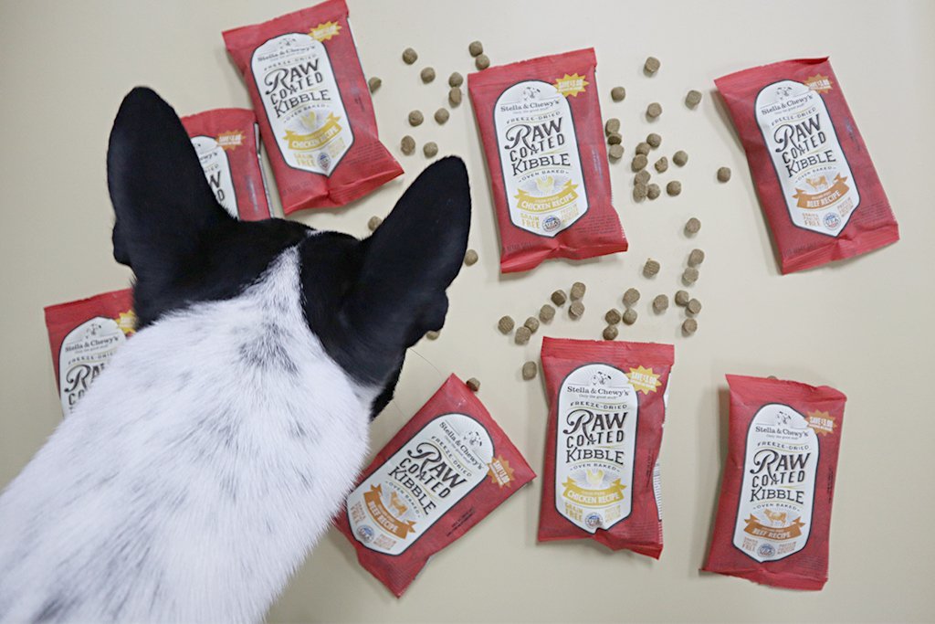 GDP Reviews: Stella & Chewy’s Raw Coated and Raw Blend Kibbles - Good Dog People™