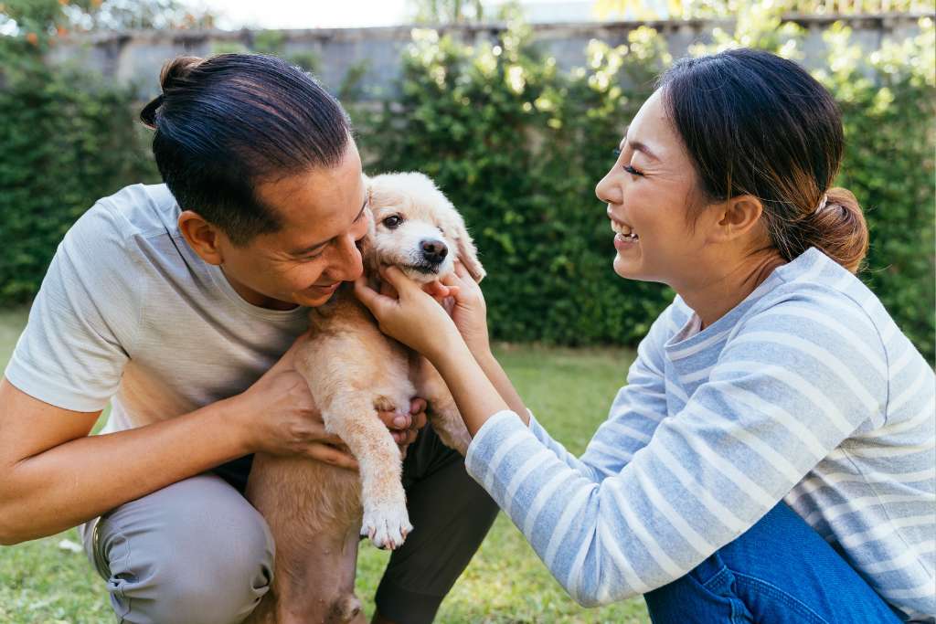 Why Good Dog People Is Singapore's Most Trustworthy Online Pet Store