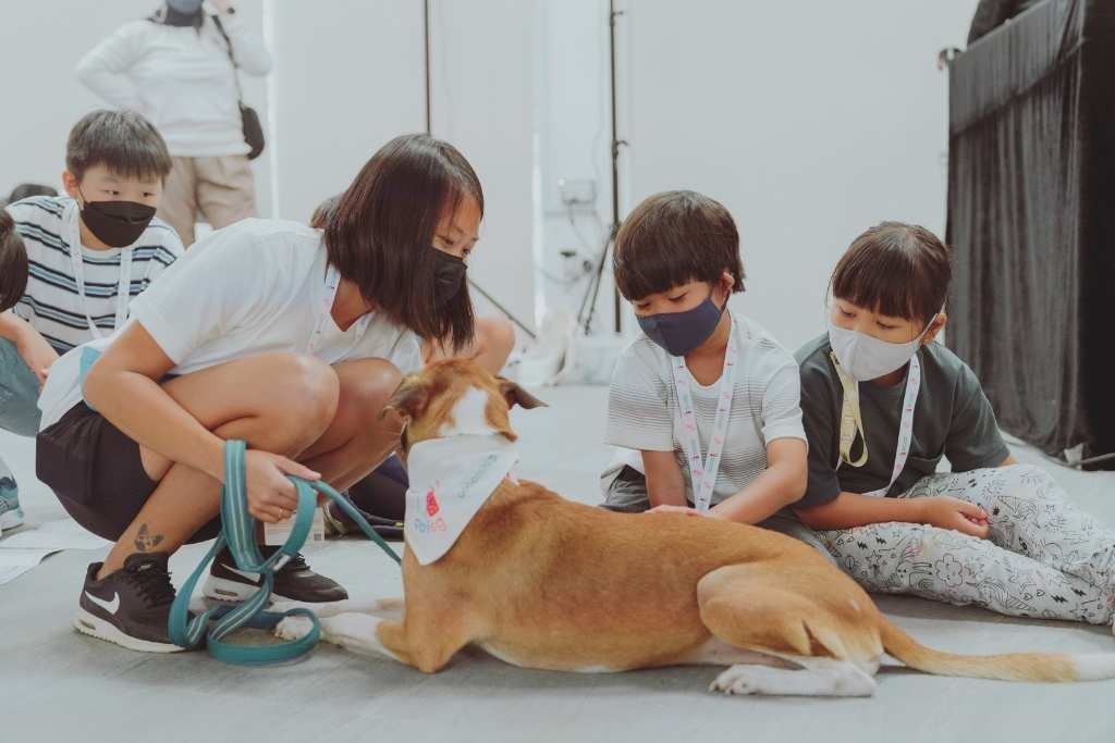 Better Together - Animal Assisted Interactions in SG - Good Dog People™