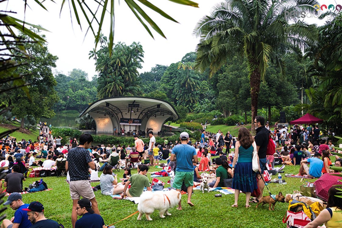Jazz For Dog 2017 at Singapore Botanic Gardens - Good Dog People™
