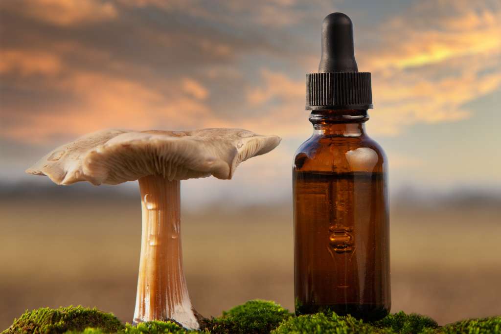 Functional Ingredients in Fresh Dog Food - Good Dog People™