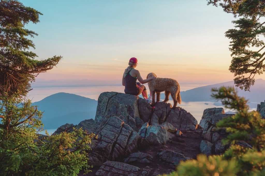 Make Every Day Earth Day with Your Dog - Good Dog People™