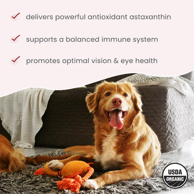 Bark & Whiskers Organic Astaxanthin Liquid Pump Supplement For Dogs