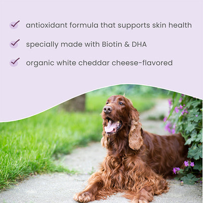 Bark & Whiskers Skin Support Bites Supplements For Cats & Dogs