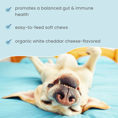 Bark & Whiskers Gut Restore Bites Supplements For Cats & Dogs