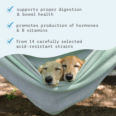 Bark & Whiskers Complete Probiotics Supplements For Cats & Dogs
