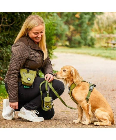 DOG Copenhagen Urban Trail Leash (Orange Sun - NEW DESIGN)