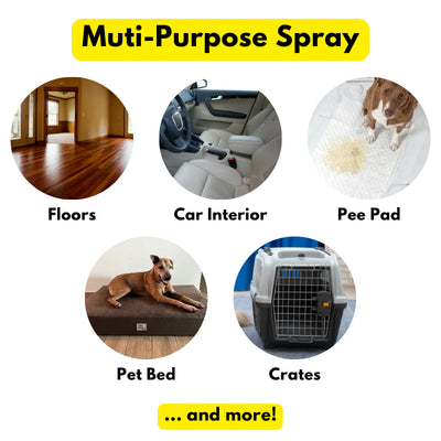 Big Borky Pear & Freesia Scented All Surfaces Multi-Purpose Odor Terminator Spray (Eliminates Urine, Feces, Vomit Odor)