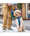 DOG Copenhagen Urban Trail Leash (Ocean Blue - NEW DESIGN)