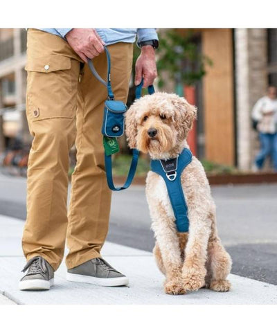 DOG Copenhagen Urban Trail Leash (Classic Red - NEW DESIGN)