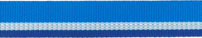 Ruffwear Top Rope™ Reflective Ballasted Dog Collar (Blue Pool)