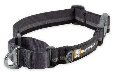 Ruffwear Web Reaction™ Reflective Buckled Martingale Dog Collar