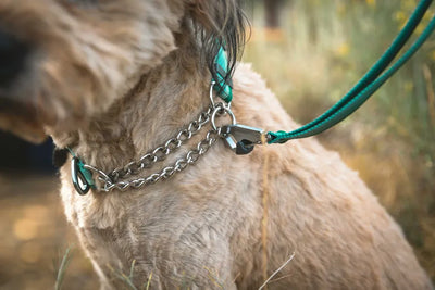 Ruffwear Chain Reaction™ Dog Collar