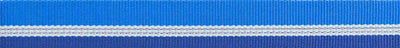 Ruffwear Web Reaction™ Reflective Buckled Martingale Dog Collar (Blue Pool)