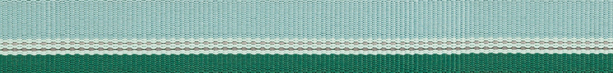 Ruffwear Chain Reaction™ Dog Collar (River Rock Green)