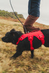 Ruffwear Web Master™ Dog Harness with Neck Buckle and Handle (Red Canyon)