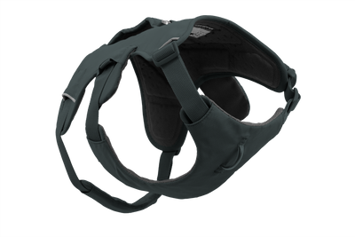 Ruffwear Web Master™ Dog Harness with Neck Buckle and Handle (Basalt Gray)