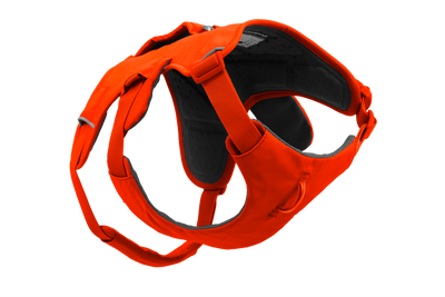 Ruffwear Web Master™ Dog Harness with Neck Buckle and Handle (Blaze Orange)