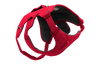Ruffwear Web Master™ Dog Harness with Neck Buckle and Handle (Red Canyon)