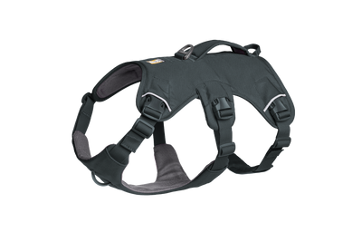 Ruffwear Web Master™ Dog Harness with Neck Buckle and Handle (Basalt Gray)