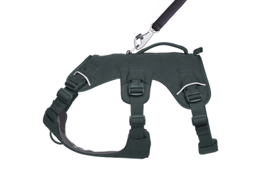 Ruffwear Web Master™ Dog Harness with Neck Buckle and Handle (Basalt Gray)