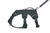 Ruffwear Web Master™ Dog Harness with Neck Buckle and Handle (Basalt Gray)