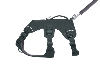 Ruffwear Web Master™ Dog Harness with Neck Buckle and Handle (Basalt Gray)