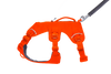 Ruffwear Web Master™ Dog Harness with Neck Buckle and Handle (Blaze Orange)