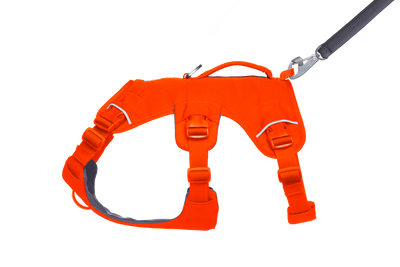 Ruffwear Web Master™ Dog Harness with Neck Buckle and Handle (Blaze Orange)