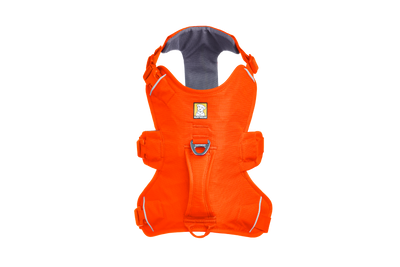 Ruffwear Web Master™ Dog Harness with Neck Buckle and Handle (Blaze Orange)