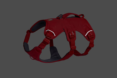 Ruffwear Web Master™ Dog Harness with Neck Buckle and Handle (Red Canyon)