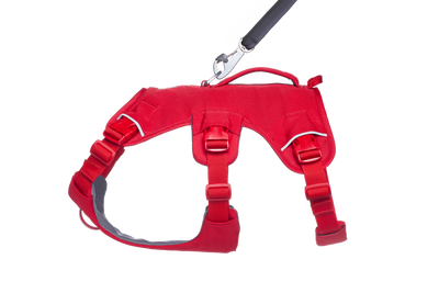 Ruffwear Web Master™ Dog Harness with Neck Buckle and Handle (Red Canyon)