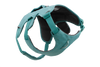 Ruffwear Web Master™ Dog Harness with Neck Buckle and Handle (River Rock Green)