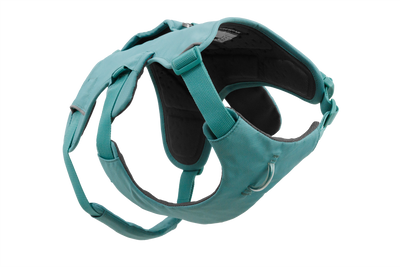 Ruffwear Web Master™ Dog Harness with Neck Buckle and Handle (River Rock Green)