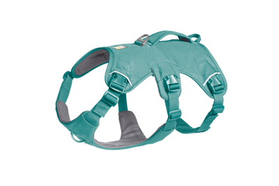Ruffwear Web Master™ Dog Harness with Neck Buckle and Handle (River Rock Green)