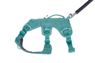 Ruffwear Web Master™ Dog Harness with Neck Buckle and Handle (River Rock Green)