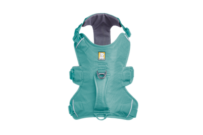 Ruffwear Web Master™ Dog Harness with Neck Buckle and Handle (River Rock Green)