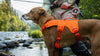 Ruffwear Web Master™ Dog Harness with Neck Buckle and Handle (Basalt Gray)