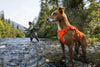 Ruffwear Web Master™ Dog Harness with Neck Buckle and Handle (River Rock Green)