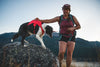Ruffwear Web Master™ Dog Harness with Neck Buckle and Handle (Basalt Gray)