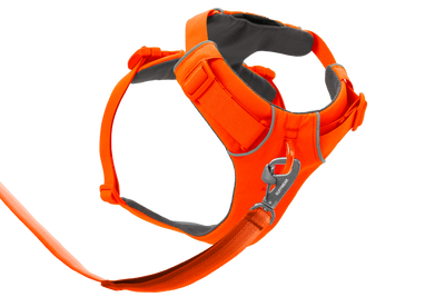 Ruffwear Front Range™ Padded Dog Harness (Blaze Orange)