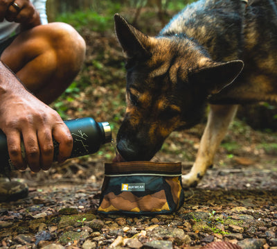 Ruffwear Quencher™ Collapsible Dog Food & Water Bowl