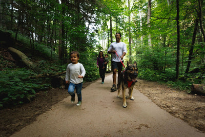 Ruffwear Front Range™ Everyday Dog Collar