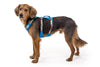 Ruffwear Flagline™ Lightweight & Multi-Use Dog Harness with Padded Handle