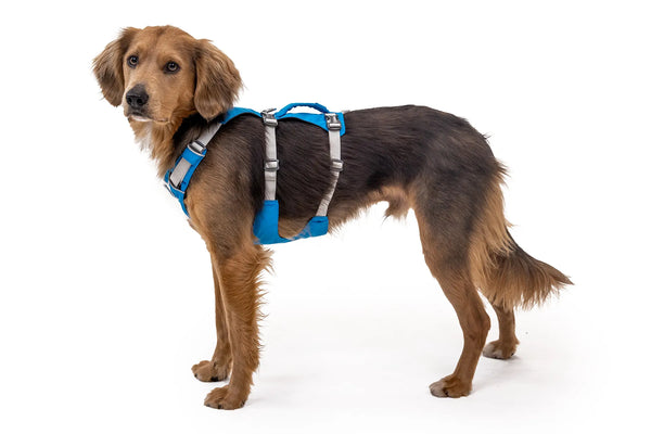 Ruffwear Flagline™ Lightweight & Multi-Use Dog Harness with Padded