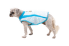 Ruffwear Swamp Cooler™ Reflective Cooling Dog Vest (Biolumin Blue)