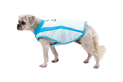 Ruffwear Swamp Cooler™ Reflective Cooling Dog Vest (Biolumin Blue)